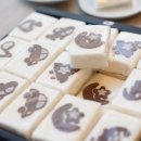 개좋은 유치원 이미지