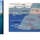발달심리 [인간발달의 정신분석적 심리이론 - 프로이트]