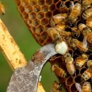 (주)한코교역 이미지