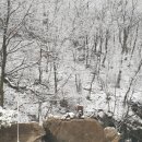 파평산농장 이미지