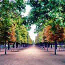 멍멍이를 부탁해 이미지