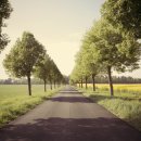 전원농약종묘사 이미지