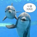 효주인력 | [대외활동] 부산국제해양영화제 서포터즈 오션키퍼 활동 후기 #1 | 온라인 사전활동