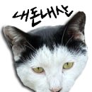 중문허브독채펜션