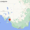 내고향구판장 | 몰리두커 더 복서 2018 - 와인킹 추천 호주 쉬라즈 레드 와인 후기 (가격,구매처,몰리두커 쉐이크)