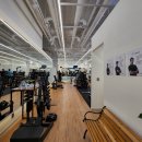 머슬앤핏 이미지