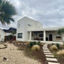 스테이 겨를 이미지