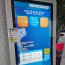 새천년카 | 제주도 비자림 숲 입장료 소요시간 비오는 날 가볼만한곳 추천