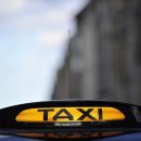 타요타요 펫택시 이미지