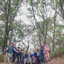 한라산둘레길 천아숲길 | 10월 푸른 제주 한라산 둘레길 1 ~ 2구간 걷고왔어요~!!