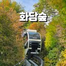 지금당 | 곤지암 화담숲 시간 모노레일 지금 실시간 방문 후기