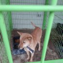 윤상카센터 이미지