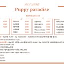 퍼피파라다이스 이미지