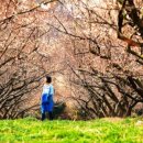 아름 발전소 이미지