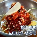 양평 맛집 옥천 냉면 마을 느티나무 냉면 내돈내산 방문 후기