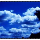 달빛에 물들이고 이미지