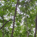 가남~능서 이미지