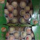 가락도매시장 흥진청과 7월초복숭아 장마직전 맛있는복숭아품종 대극천복숭아택배주문