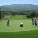 한라산CC 이미지