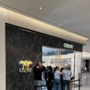 신세계백화점광주점 압소바 | 신세계 대구 주말 오후 나들이 : 에르메스 웨이팅 마감, 젤리캣 대체제 압소바 메리메리어 애착인형...