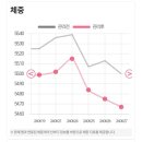 (주)쥬비스다이어트 분당점 이미지