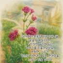 생명의줄기 이미지