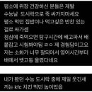 수능도시락으로 죽 싸가면 안되는 이유 이미지