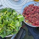 나사장네 최강대패 효성점 이미지