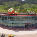 신용단감