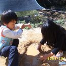 양주중학교 이미지