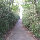 청련암 입구 이미지