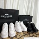 소호 | [공지] 수원 ak플라자 코치(coach) 남성,여성 소호 스니커즈 구매 &amp; 언박싱 후기~