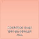 대한카자동차정비 | 서산자동차튜닝과 비교해도 밀리지 않는 옵션카스토리 서비스