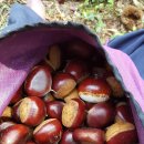 광양이야기 이미지