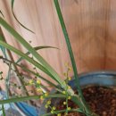 3월26일 수요일 출석부 이미지