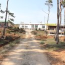 신풍초등학교 이미지