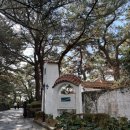 오션뷰하우스 | 제주 서귀포 오션뷰 대형 카페 "허니문하우스" 내돈내산 후기 (수리남 촬영지)