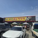 충원대로 | [충주 맛집] 충주시 현지인 맛집 동충주솥밥해장국 솔직후기