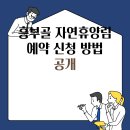 흥부골자연휴양림 | 흥부골 자연휴양림 예약 신청 방법 공개
