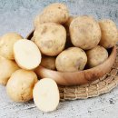 제이앤팜 이미지