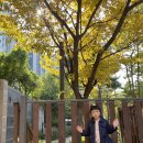 새들반 10월 4주 놀이이야기🍂 이미지