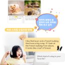 원어민영어 | 원어민화상영어 추천, 후기보다 먼저 확인할 선택 기준