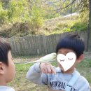 명석농장 네이버블로그