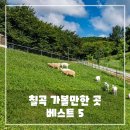 산하목장 | 칠곡 가볼만한곳 베스트 5 - 여행지 추천 리스트