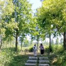 🌿군산 금강습지생태공원 산책 후기｜초록빛🌿 메타세쿼이아길과 갈대밭이 아름다운 힐링 명소