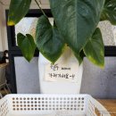 빽다방청주율량 이미지
