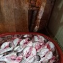 용원식당 이미지