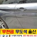 덴트핀다 이미지