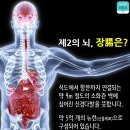 더힐링라이프