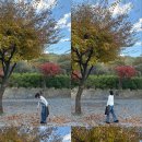 중앙여울펜션 이미지